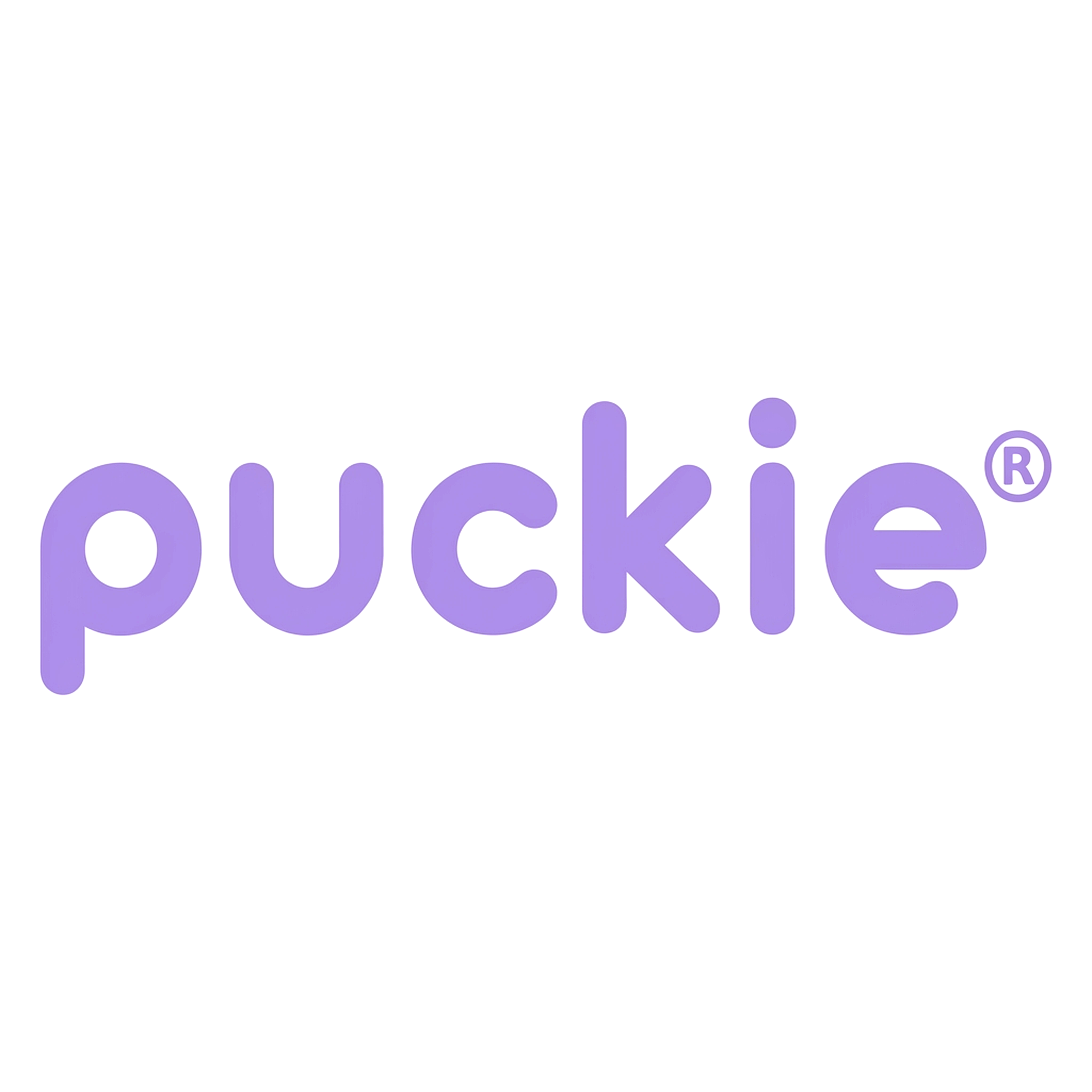 Dichiarazione di accessibilità – puckie